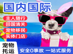 武夷山机场货运国际宠物托运 【国